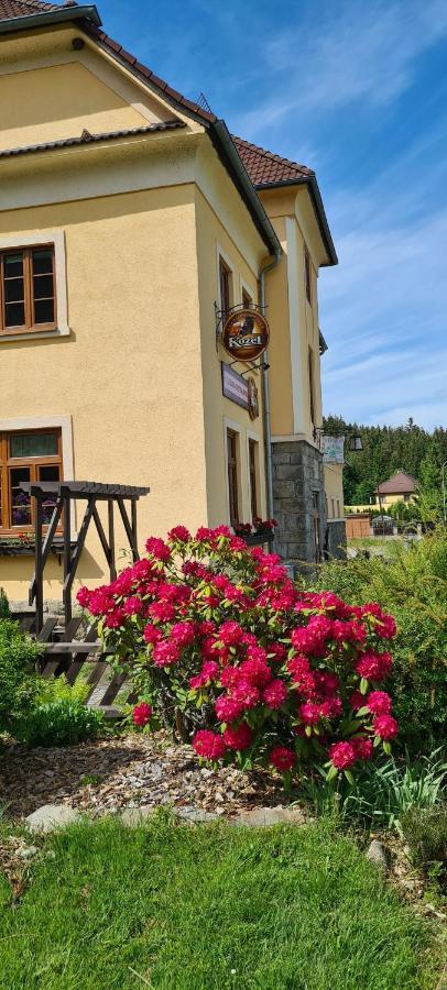 Hotel Pension Pod Lipou Loučovice Exterior foto